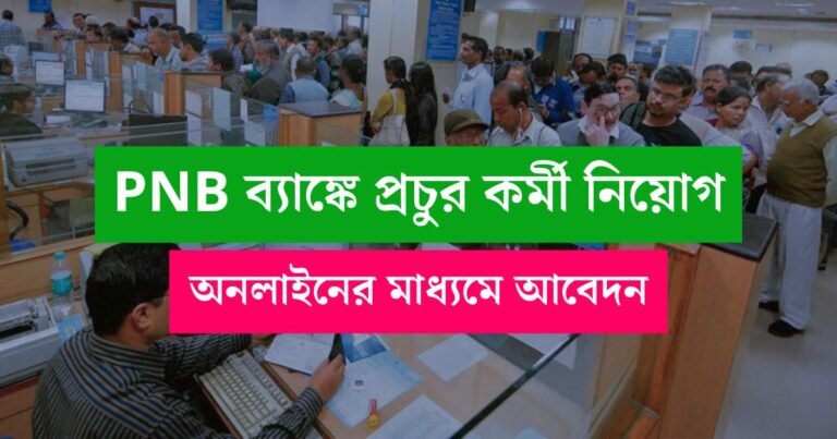 PNB Bank Job Vacancy 2025