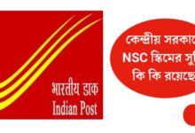 What is NSC Scheme?(NSC স্কিম কি)