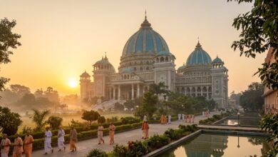 Mayapur Trip: মায়াপুরে একবার গেলে বারবার যেতে মন চাইবে কেন জানেন?