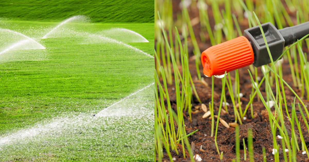 Prime Minister Krishi Samman Nidhi Yojana(প্রধানমন্ত্রী কৃষি সম্মান নিধি যোজনা)